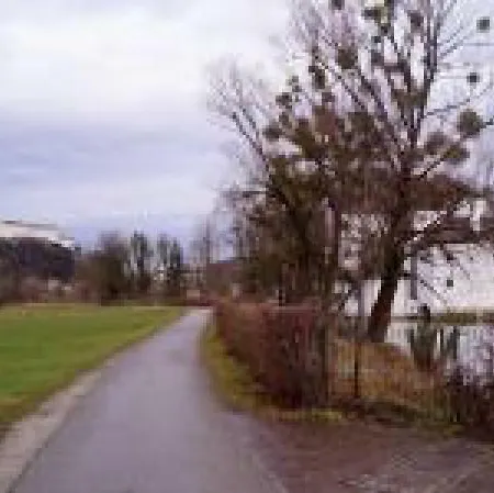Hellbrunnerallee דירה